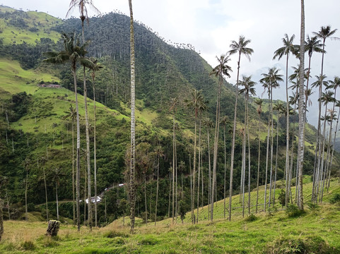 Andes Adventure-萨伦托必去景点