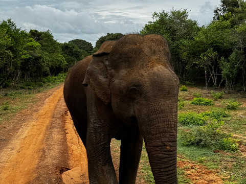 La Tours-Hambantota必去景点