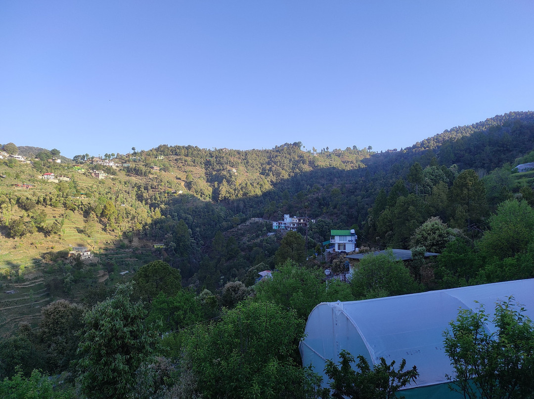 Orchard Hill Retreat主图