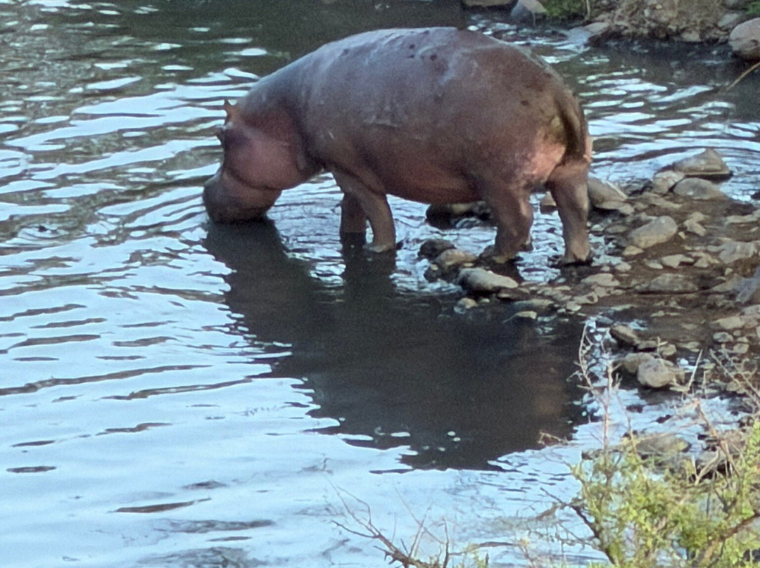 Spirit of Kenya-内罗毕必去景点