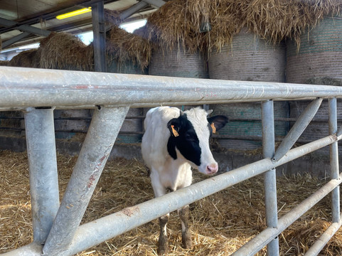 Caseificio Bio Reggiani-Recovato必去景点