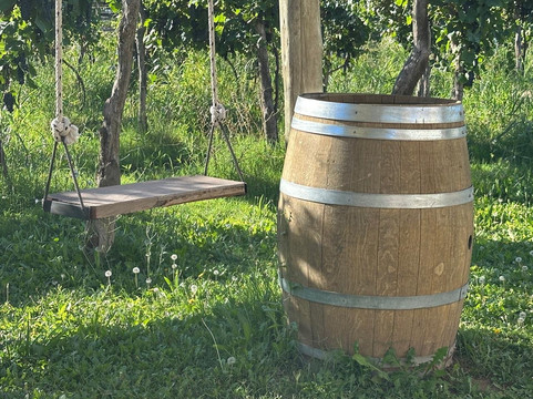 Bodega Terra Lombarda-圣拉斐尔必去景点