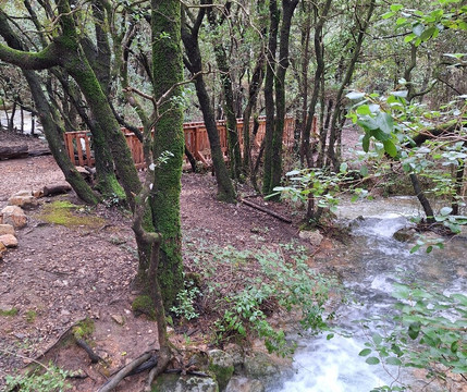 Les Sources de l'Huveaune-Nans-les-Pins必去景点