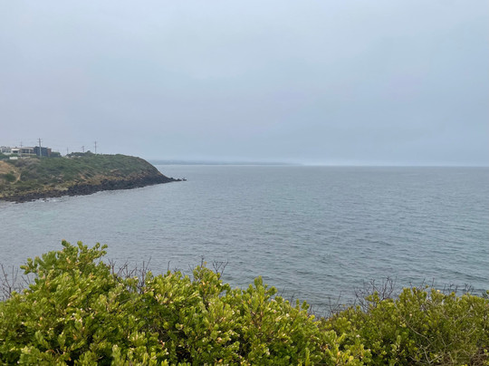 Linley Point-莫宁顿必去景点