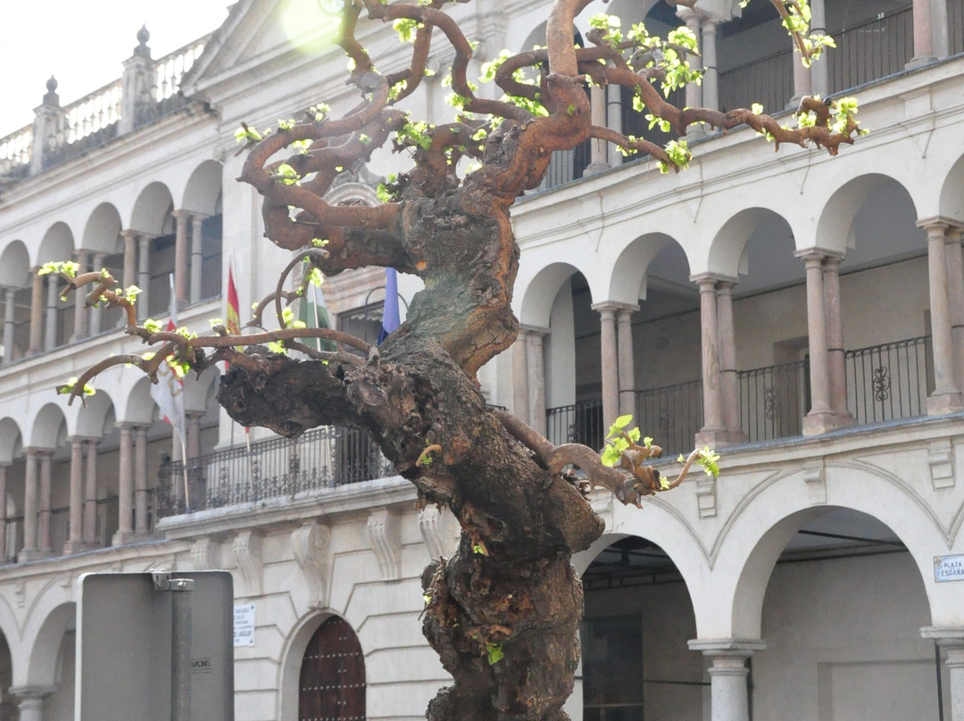 Oficina Municipal de Turismo de Andújar-Andujar必去景点
