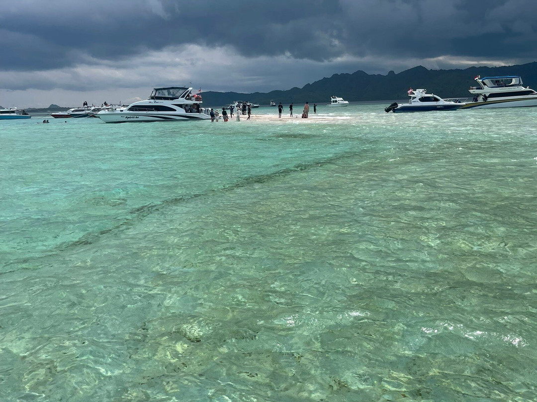 Red Whale Dive Center & Tours-Labuan Bajo必去景点
