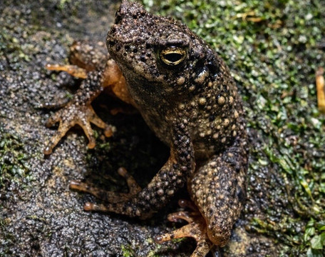 Seribu Waterfall-茂物必去景点