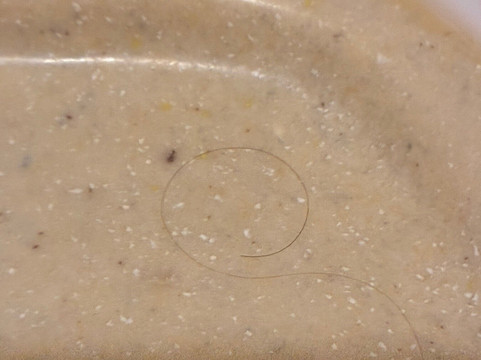 弗兰肯默斯智选假日酒店主图