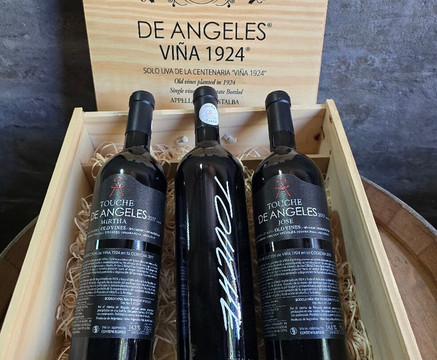 Bodega De Angeles Viña 1924-路冉得库约必去景点