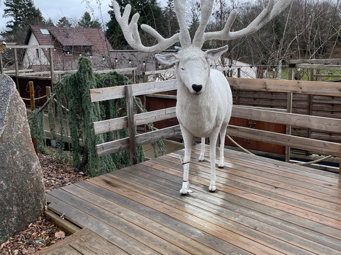 Domain Du Hirtz  Le Spa Nordique-Wattwiller必去景点