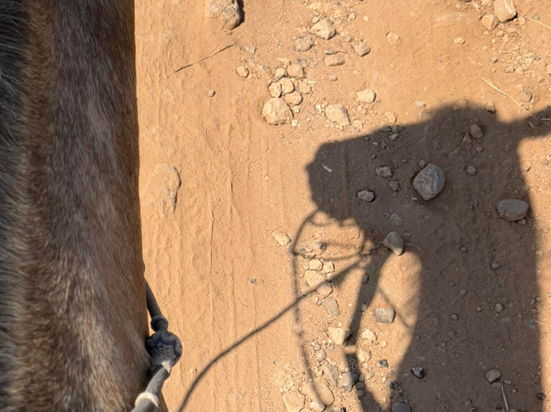 Cabalgando En Tequis-Tequisquiapan必去景点