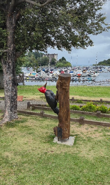 Lago Villarrica-普孔必去景点