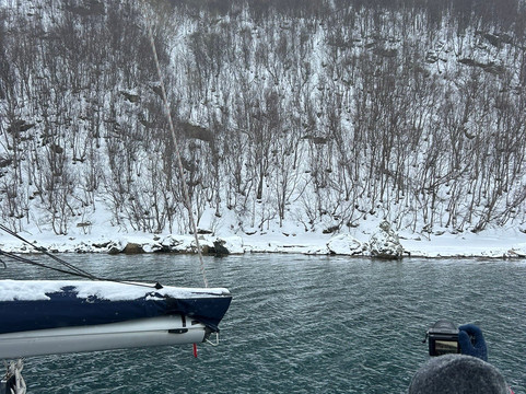 Veidemann Sailing-特罗姆瑟必去景点