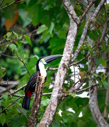 Manu Tour Operator  Expediciones Vilca-Manu必去景点