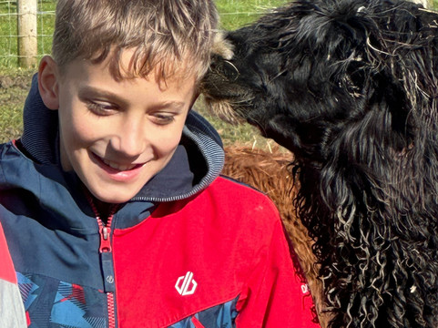 Cary Alpacas-约维尔必去景点