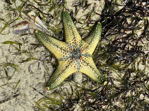 Urafiki Tours and Safari-孥归必去景点