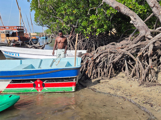 Jacarondo Safari Kenya-瓦塔木必去景点