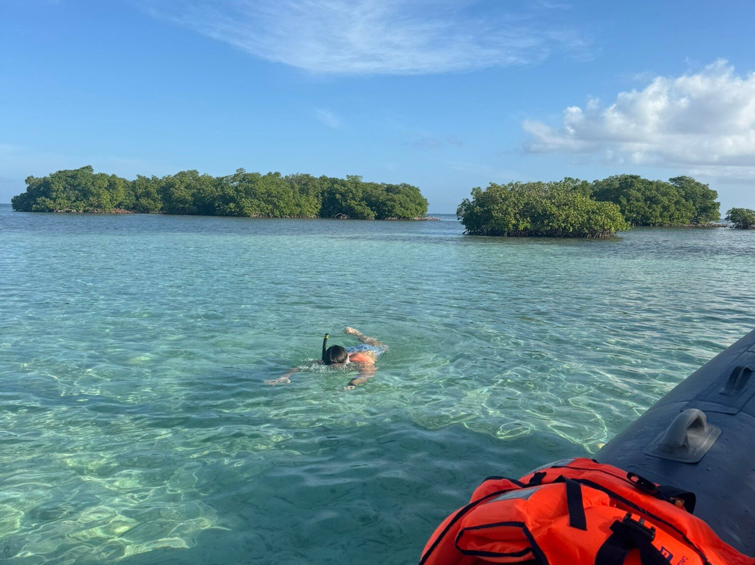 Nico Excursions-Sainte Rose必去景点