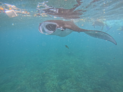 Lembongan Trip-蓝梦岛必去景点