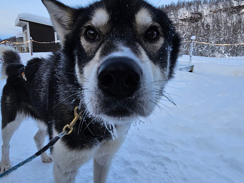 Into Nature-Meistervik必去景点