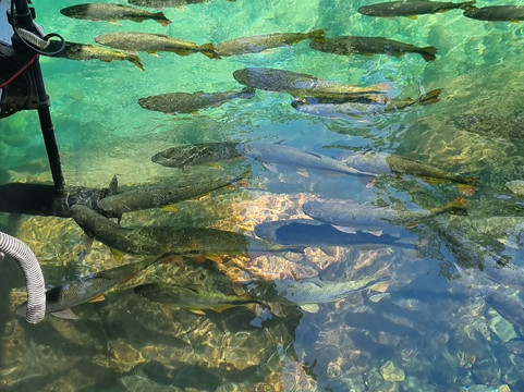 Recanto Ecologico Rio da Prata-博尼图必去景点