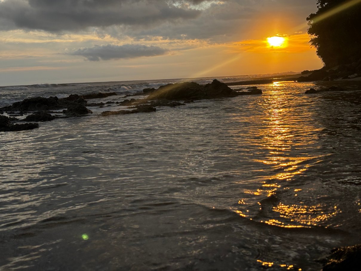 美蕊沙极乐海滩酒店-官方