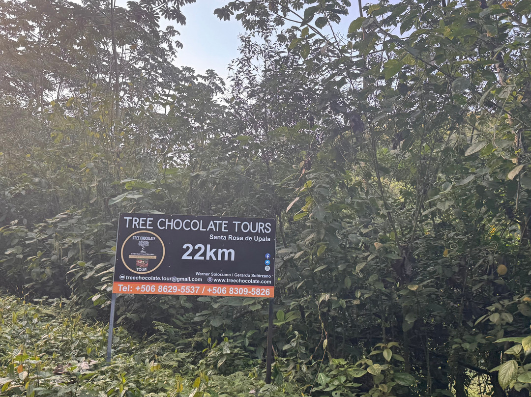 Tree Chocolate Tour-Upala必去景点