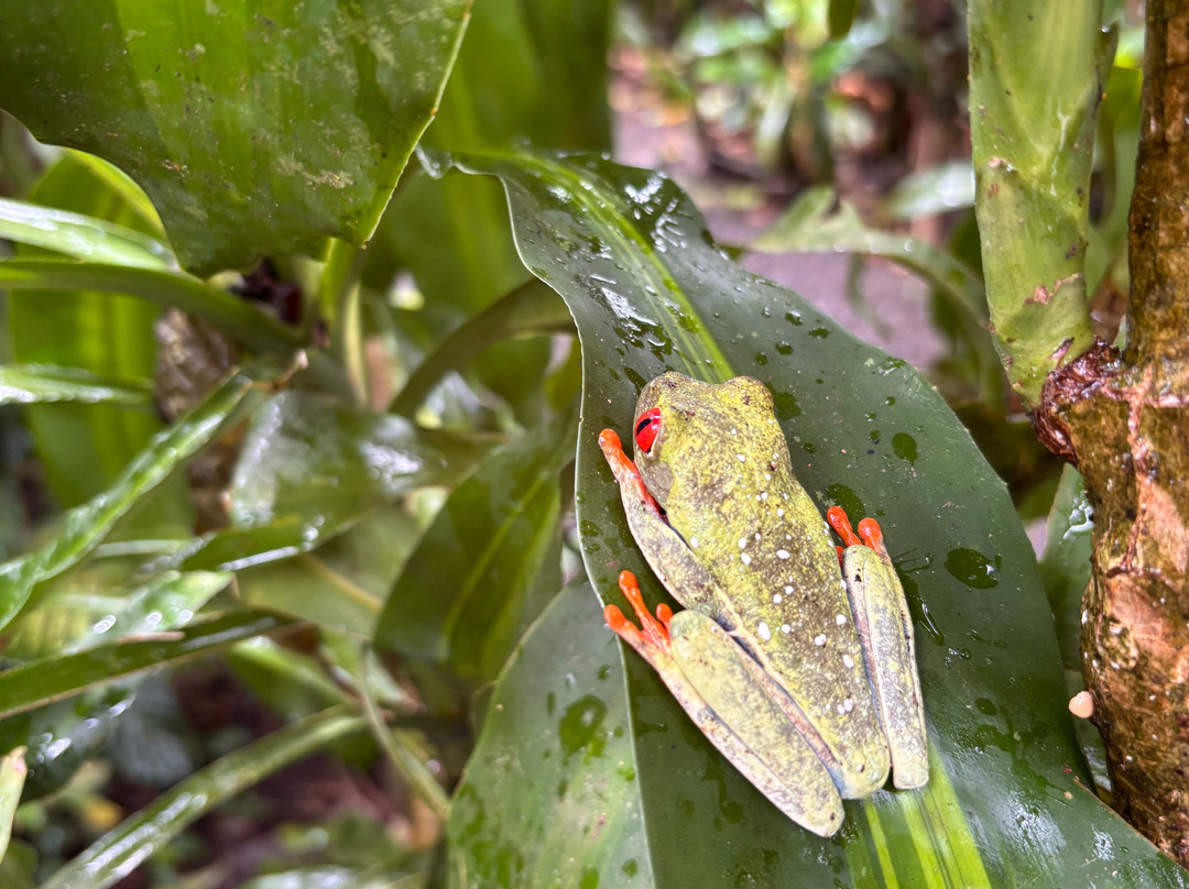 Allan Adventures-La Cruz必去景点
