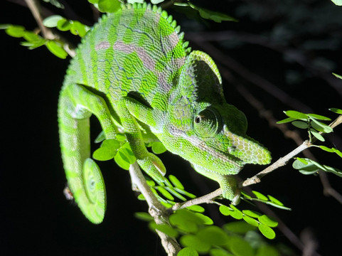 Soul of Madagascar Tours-Toamasina (Tamatave)必去景点