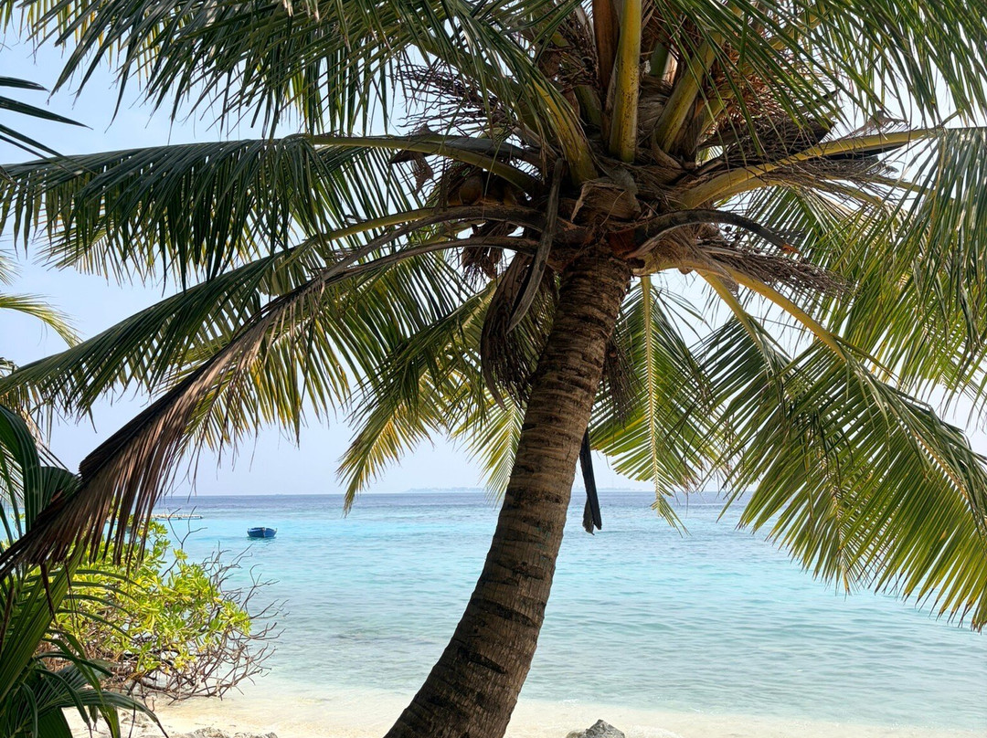 Omadhoo Coral View Inn主图