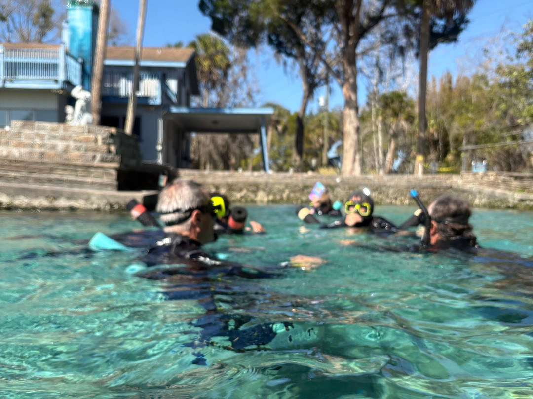 Seadaddys Dive Center & Nature Aquarium-克里斯特尔里弗必去景点