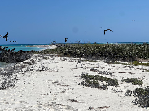 干龟岛国家公园-基韦斯特必去景点