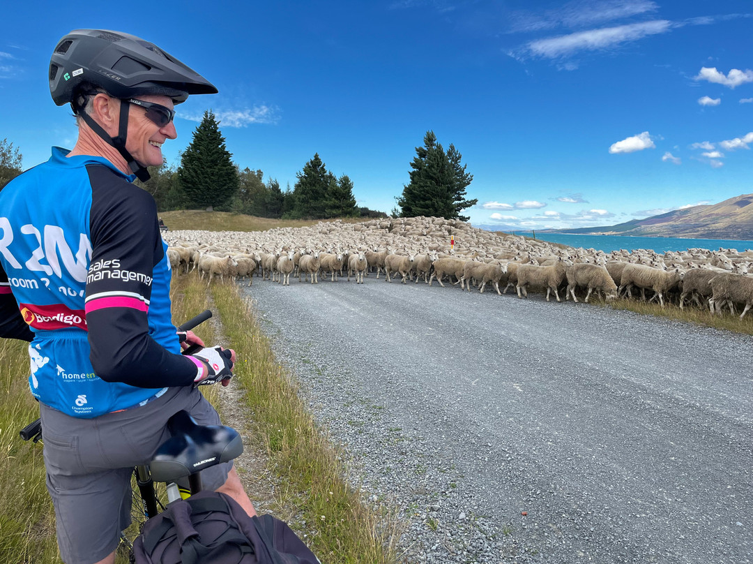 Cycle Journeys Twizel-特威泽尔必去景点