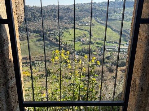 Orvieto Underground-奥尔维耶托必去景点