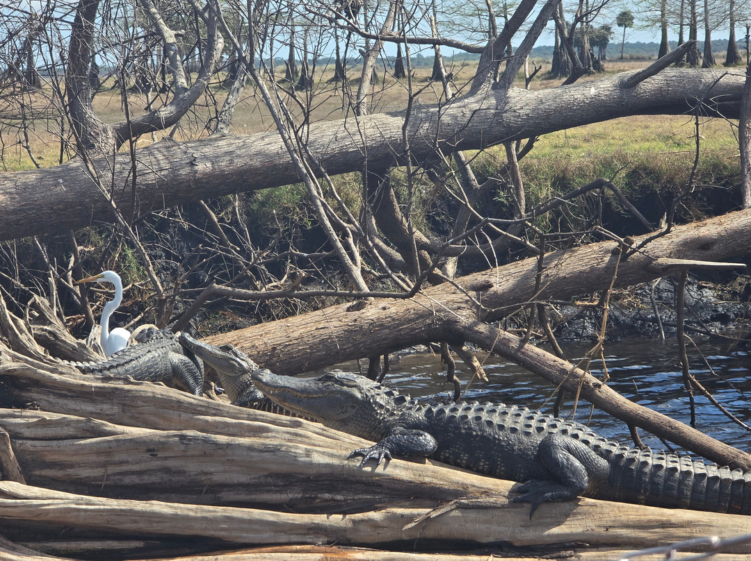 AirBoat Rides at Midway-Christmas必去景点