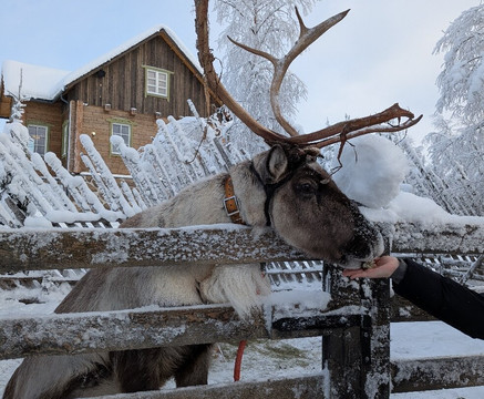 Elves Village-Kongas必去景点