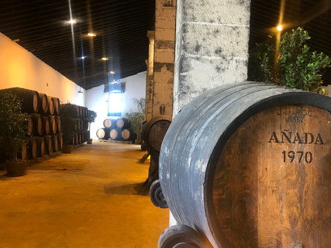 Bodegas Tio Pepe-赫雷斯德拉弗隆特拉必去景点