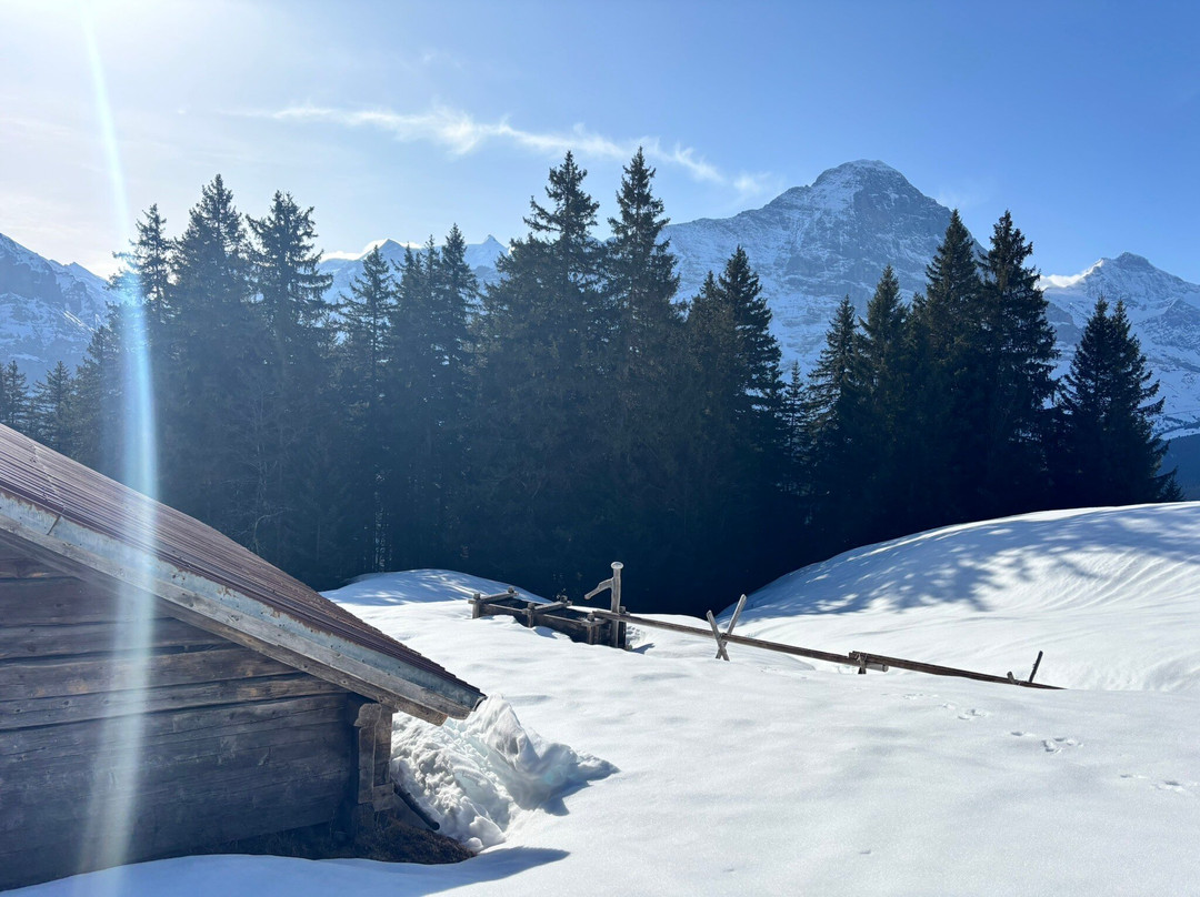 Wanderung Bussalp - Bort-格林德瓦必去景点