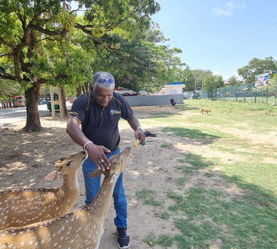 Dilro Travels & Tours-西部省必去景点