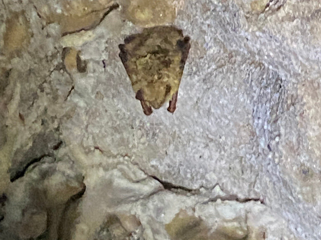 Cascade Caverns-Boerne必去景点