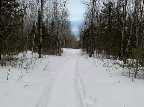 Demonstration Forest-Two Harbors必去景点