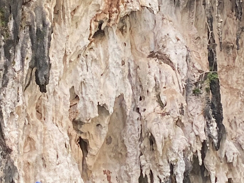 考索树屋度假村主图