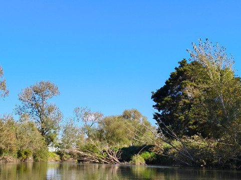 Adventure Te Aroha- 蒂阿罗哈必去景点