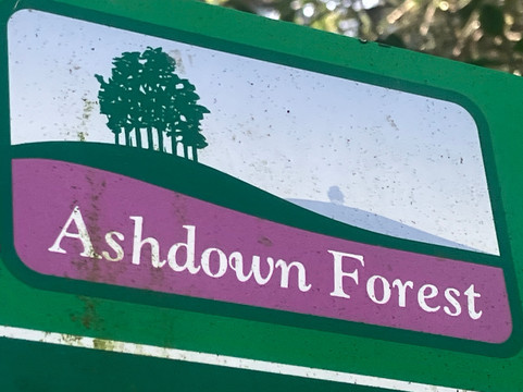 Ashdown Forest-Wych Cross必去景点