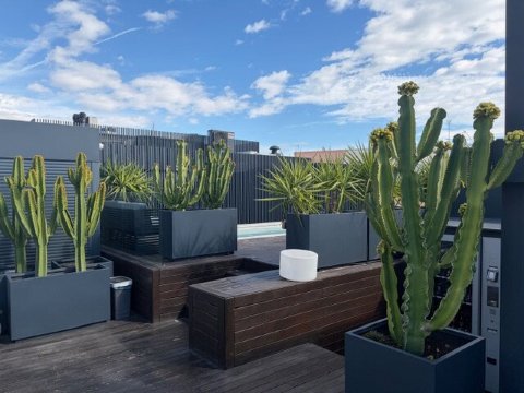 艾尔古代浴场酒店-泳池