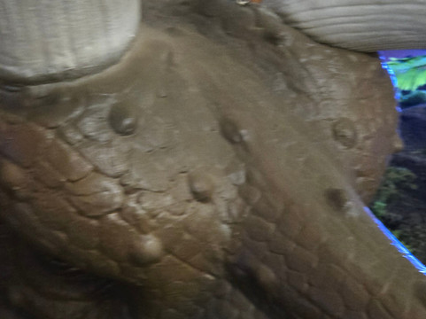 Jurassic Quest-Conroe必去景点