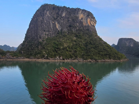 Elite of the Seas-下龙湾必去景点