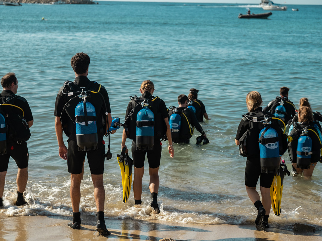 Big Blue Diving Mallorca-Palmanova必去景点