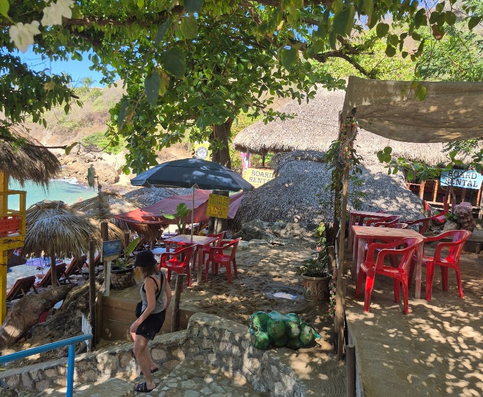 Playa Carrizalillo-埃斯孔迪多港必去景点