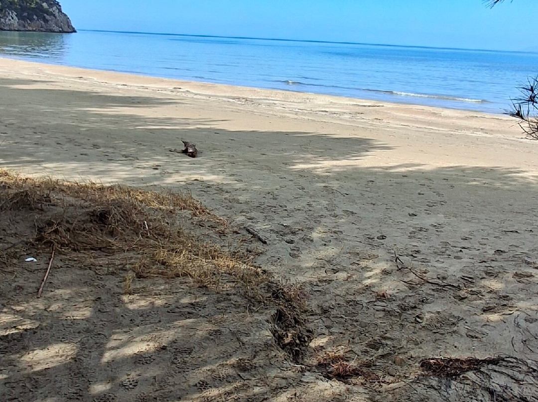 Parco Naturale della Maremma-Alberese必去景点